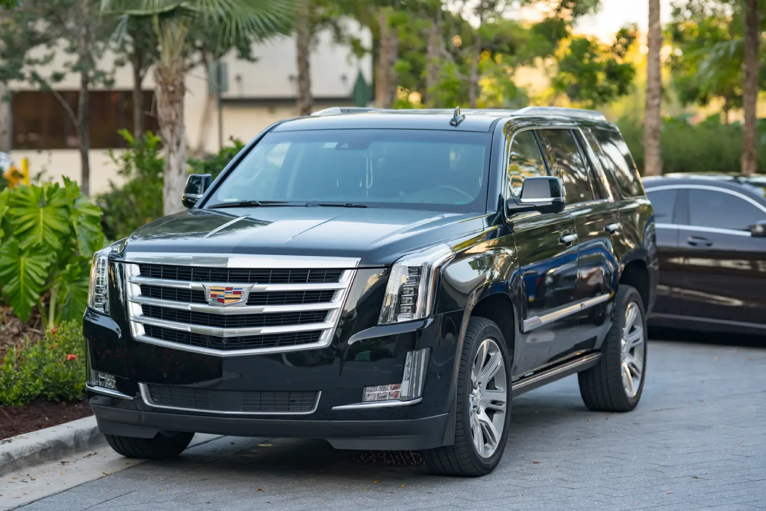 Professional Glass Window Tinting